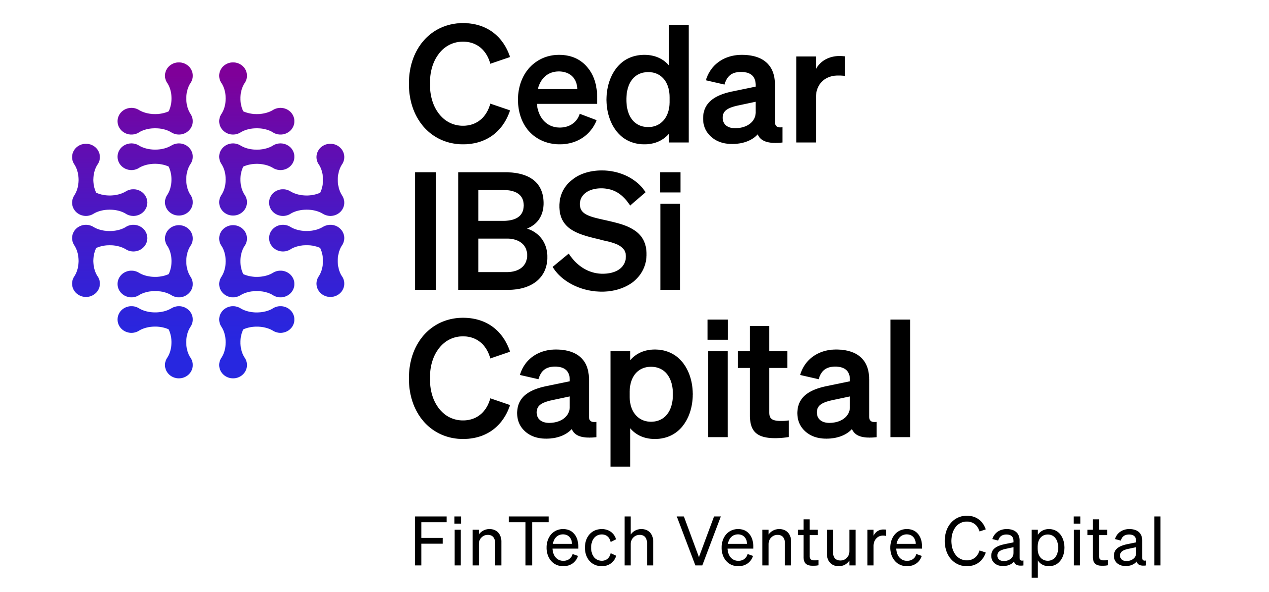 Cedar-IBSi Capital