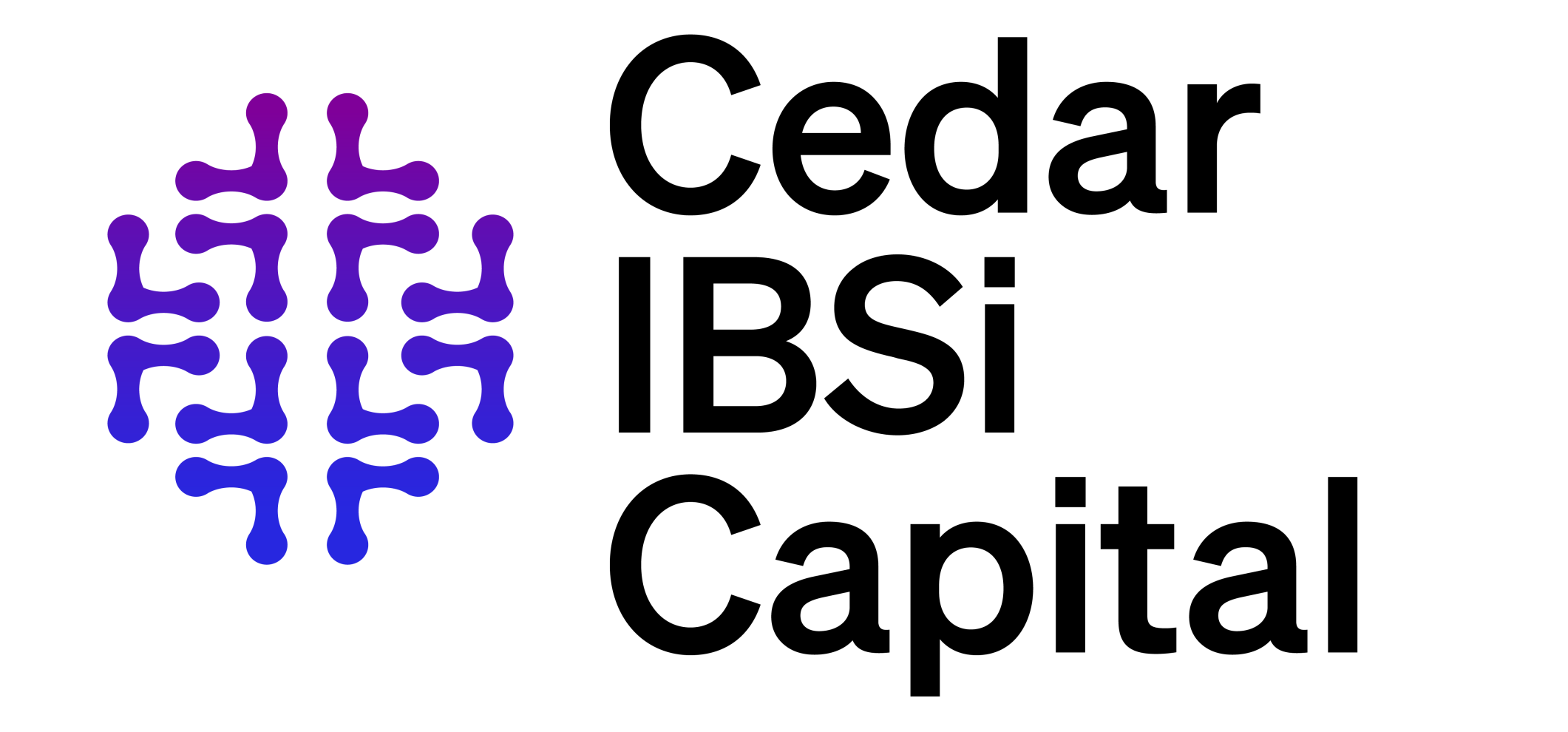Cedar-IBSi Capital