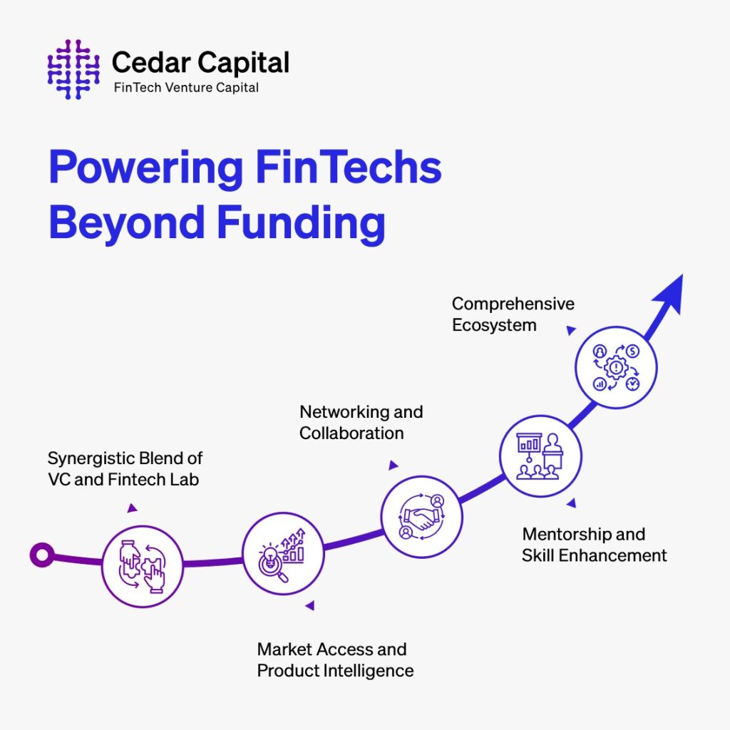 Cedar-IBSi Capital: Powering FinTechs Beyond Funding
